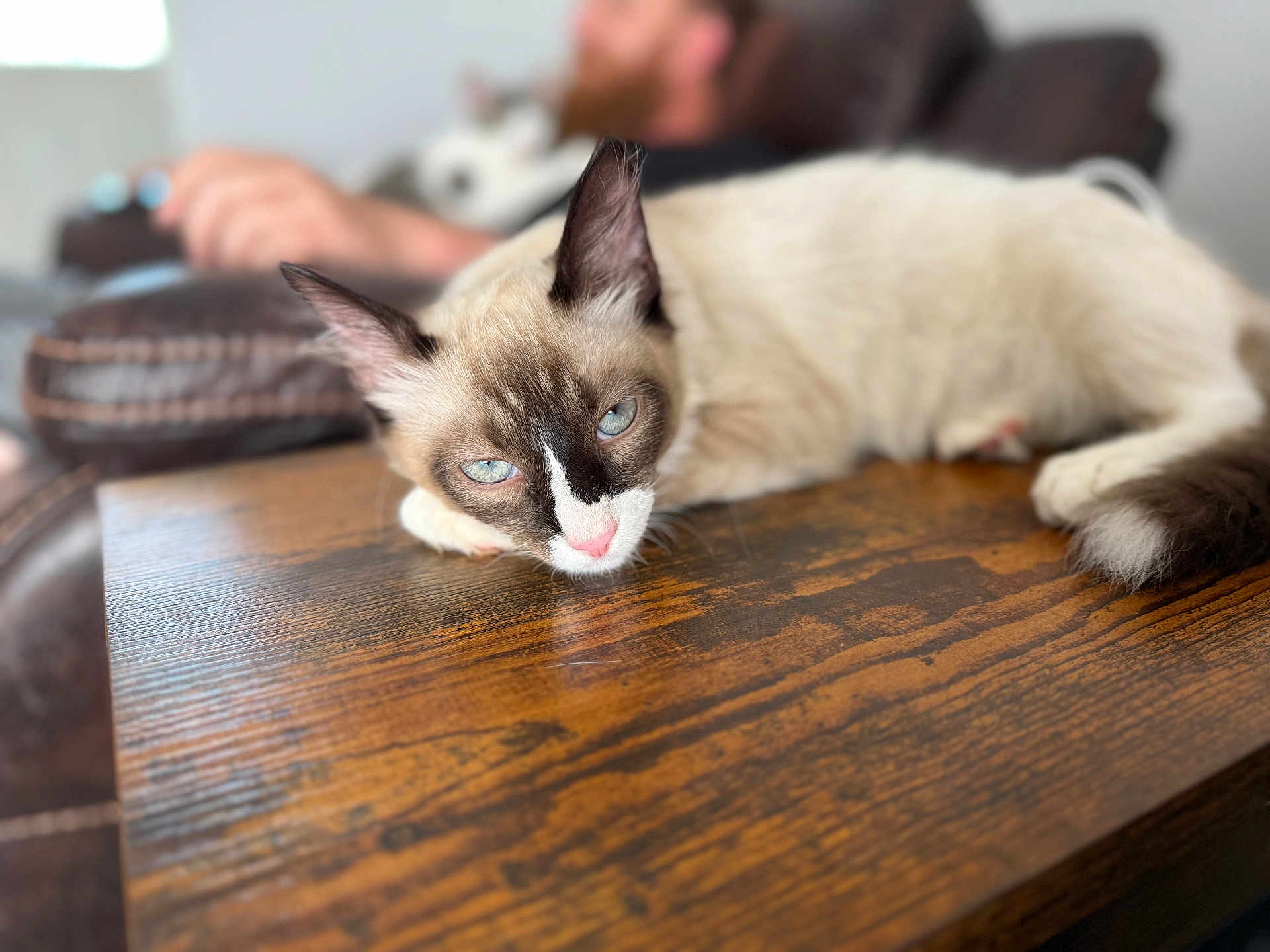 Smores