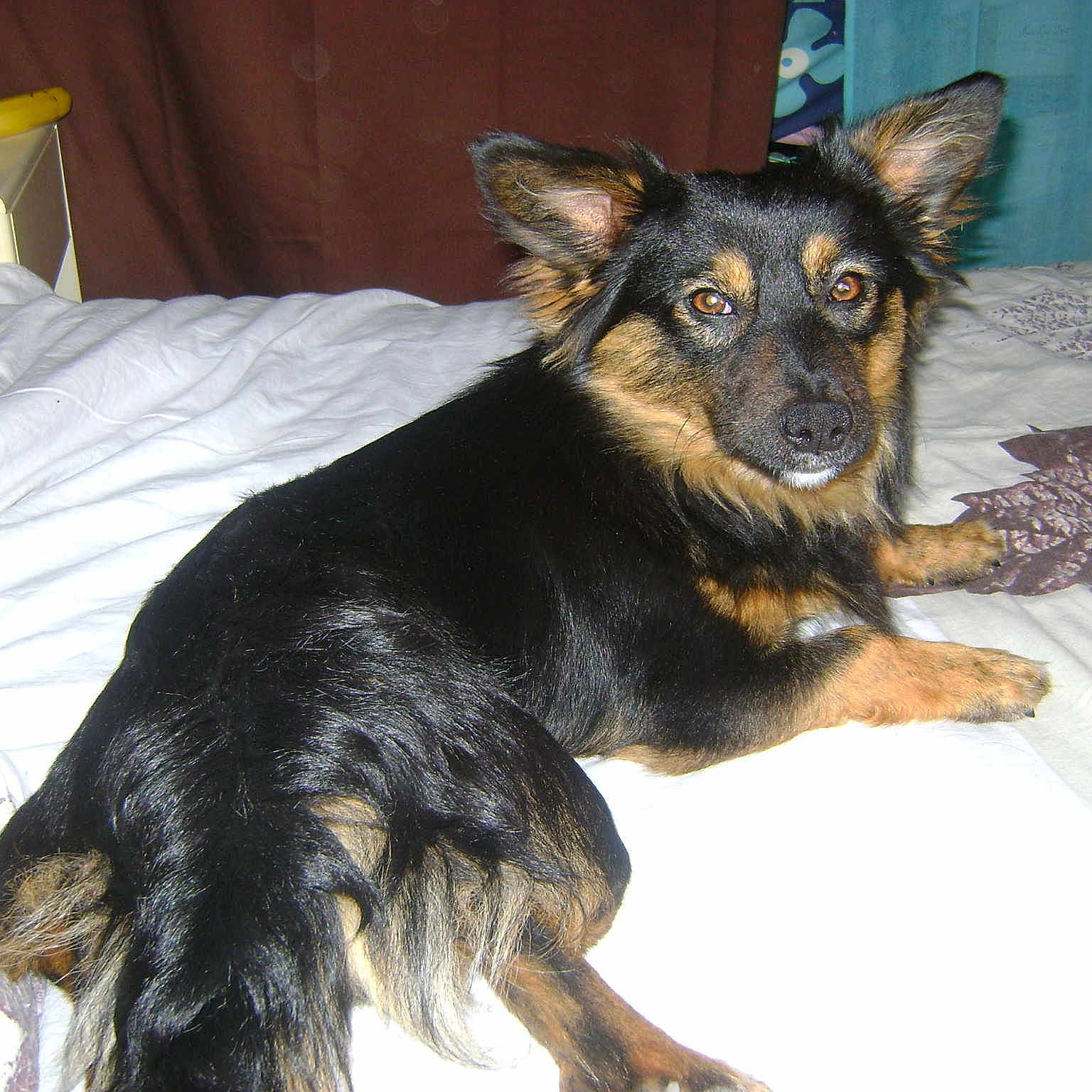 Tyson