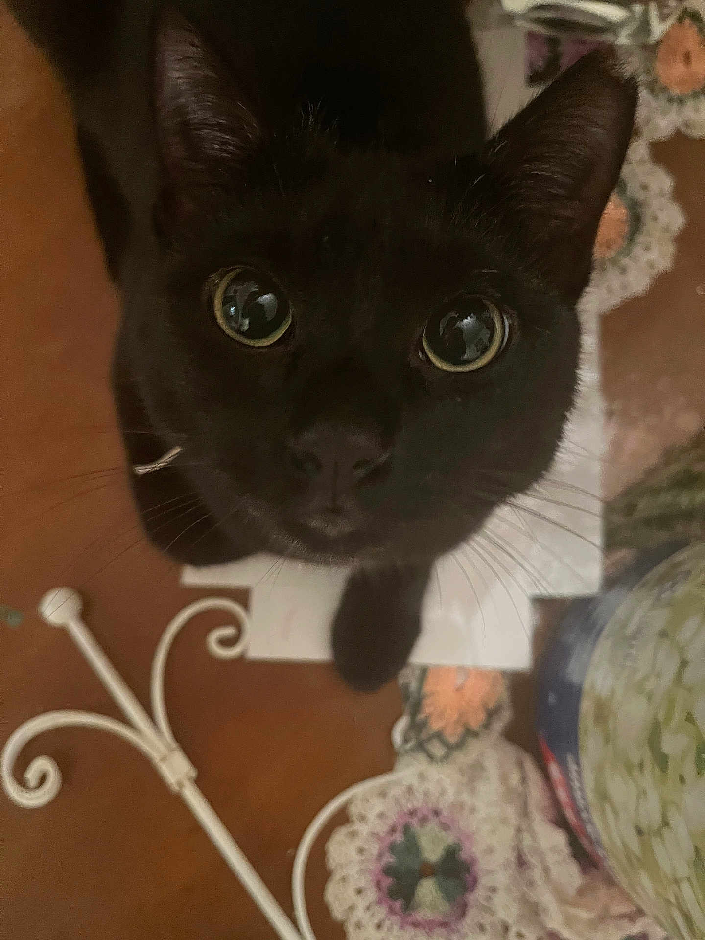 Nyx