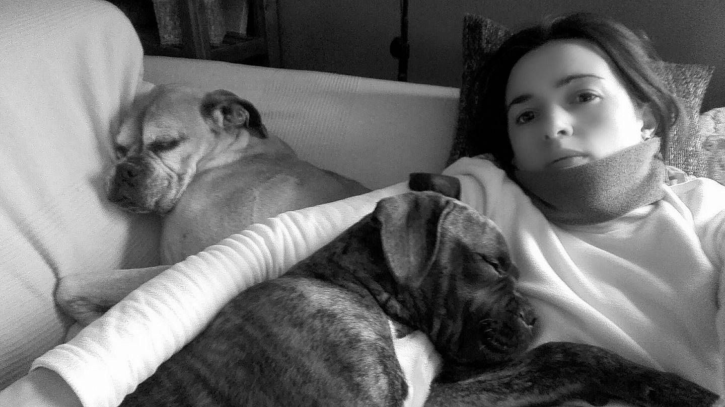 Trunck a rejoint le concours — aidez-le/la à gagner de superbes lots ! black, black_and_white, bullmastiff, carnivoran, dog, dog_breed, dog_breed_group, dog_like_mammal, ear, mammal, monochrome, monochrome_photography, person, photography, pug, puppy, puppy_love, skin, snout, vertebrate