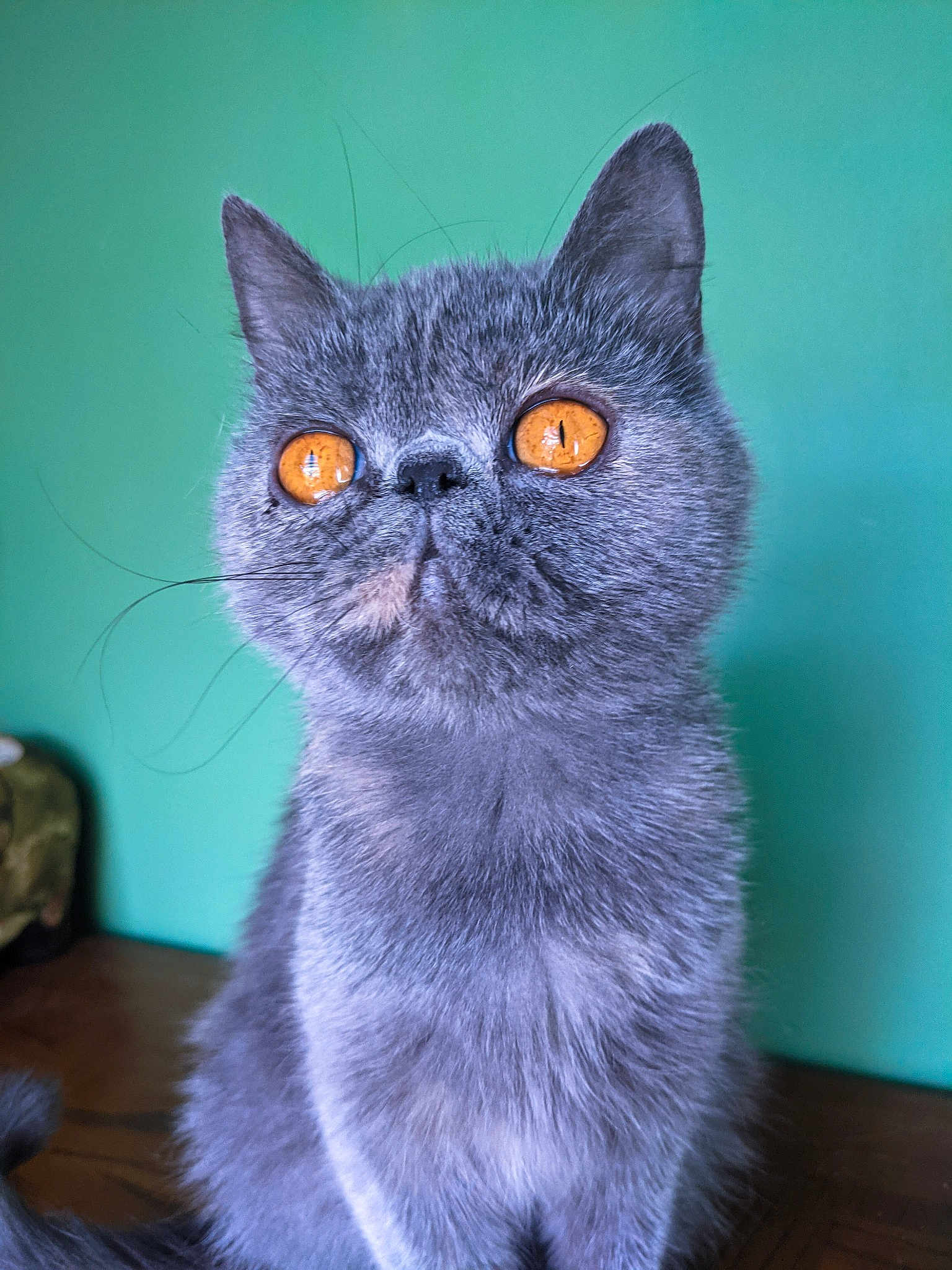 Mae