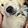 Baloo