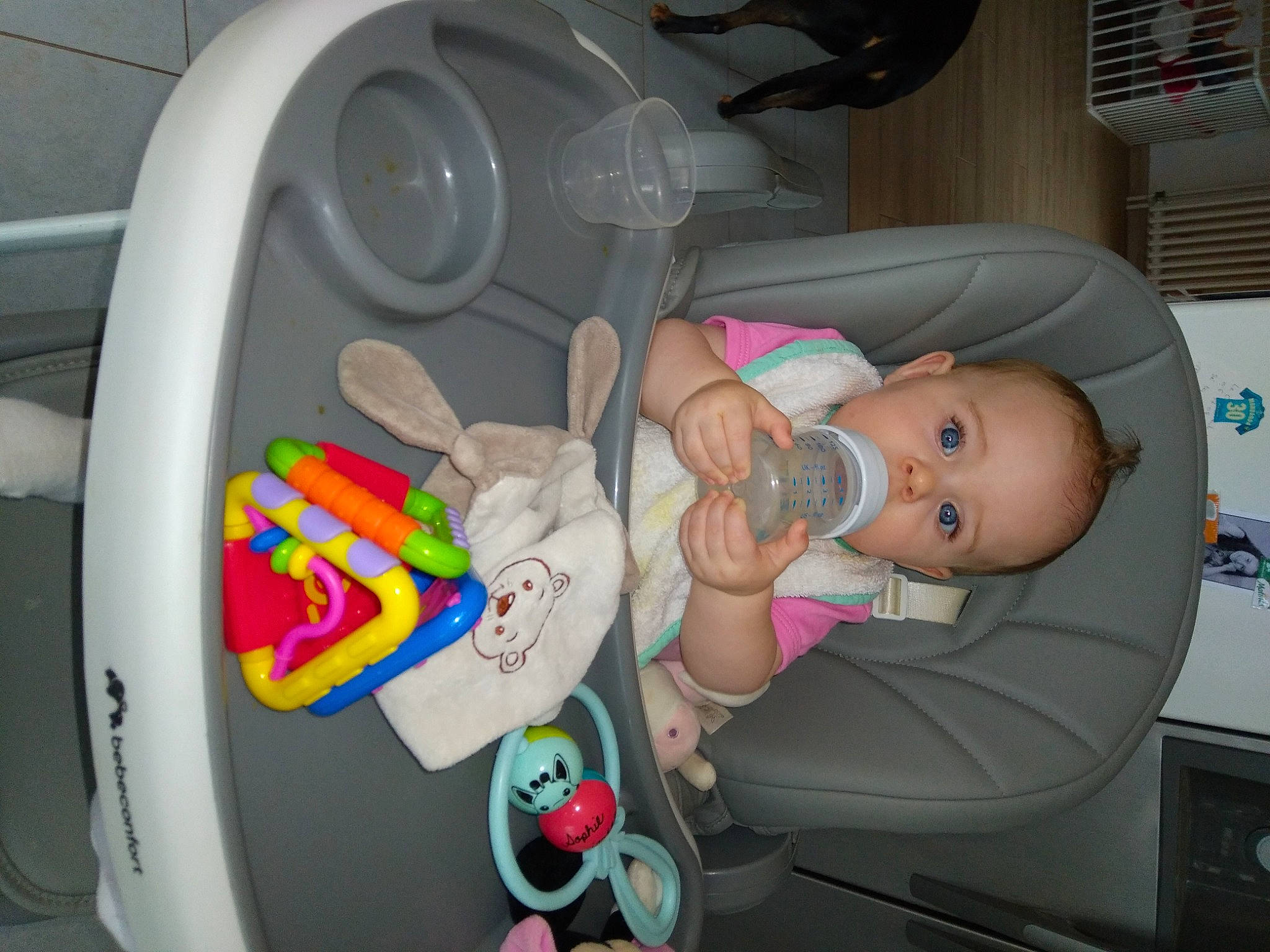 Elina participe au concours pour gagner de l'argent avec cette photo : auto_part, baby, baby_products, car_seat, child, comfort, family_car, fun, gas, hat, health_care, hearing, machine, major_appliance, medical, mouth, person, plastic, service, toddler