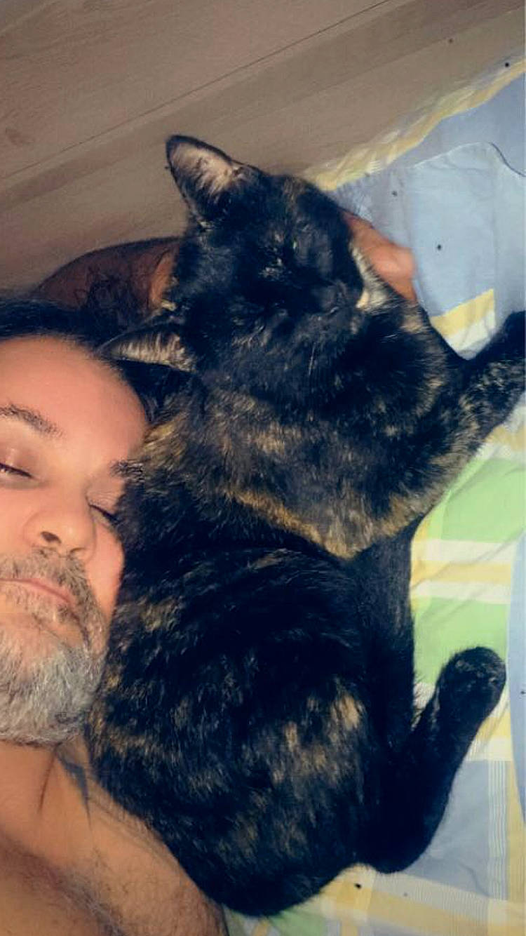 Fifi a rejoint le concours — aidez-le/la à gagner de superbes lots ! beard, canidae, carnivore, cat, comfort, dog_breed, domestic_short_haired_cat, ear, felidae, fur, gesture, happy, mammal, nose, selfie, small_to_medium_sized_cats, snout, tail, vertebrate, whiskers