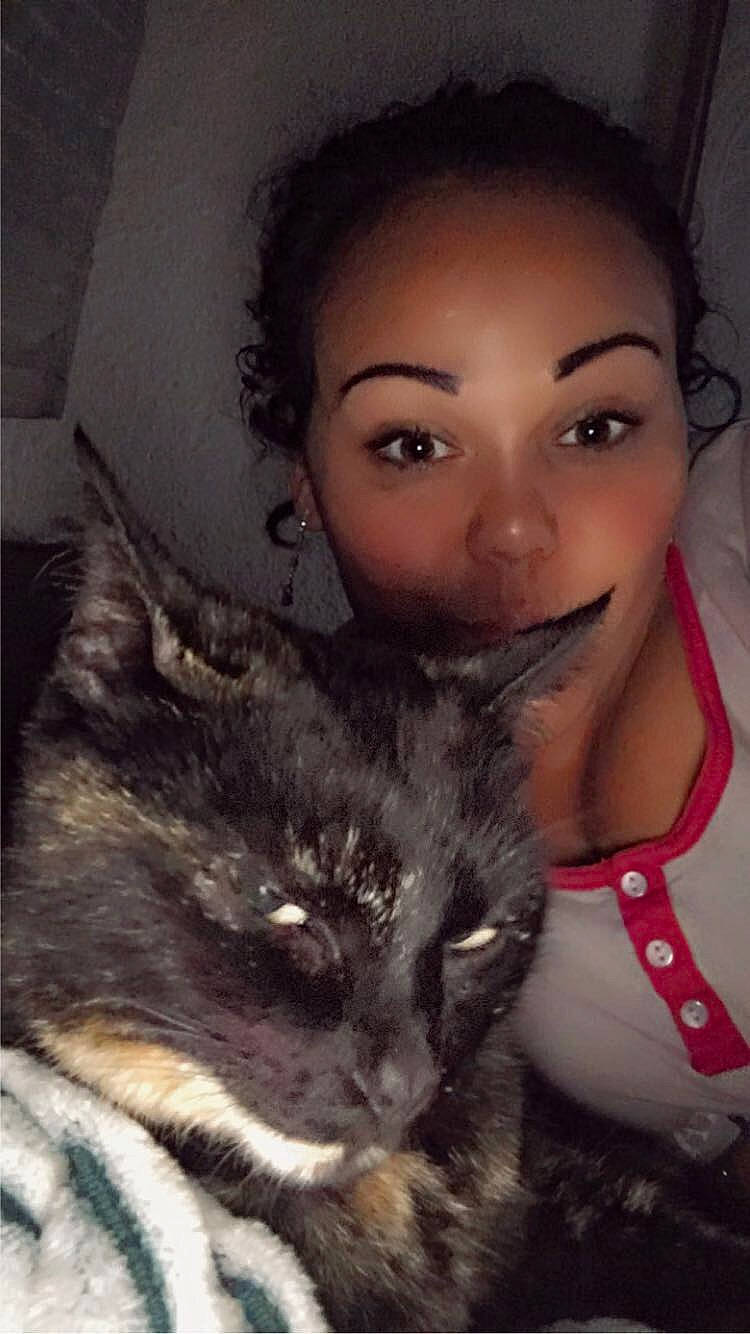 Fifi participe au concours pour gagner de l'argent avec cette photo : black_hair, carnivore, cat, domestic_short_haired_cat, ear, eye, eyelash, fawn, felidae, fur, gesture, happy, iris, jewellery, lip, makeover, nose, small_to_medium_sized_cats, snout, whiskers