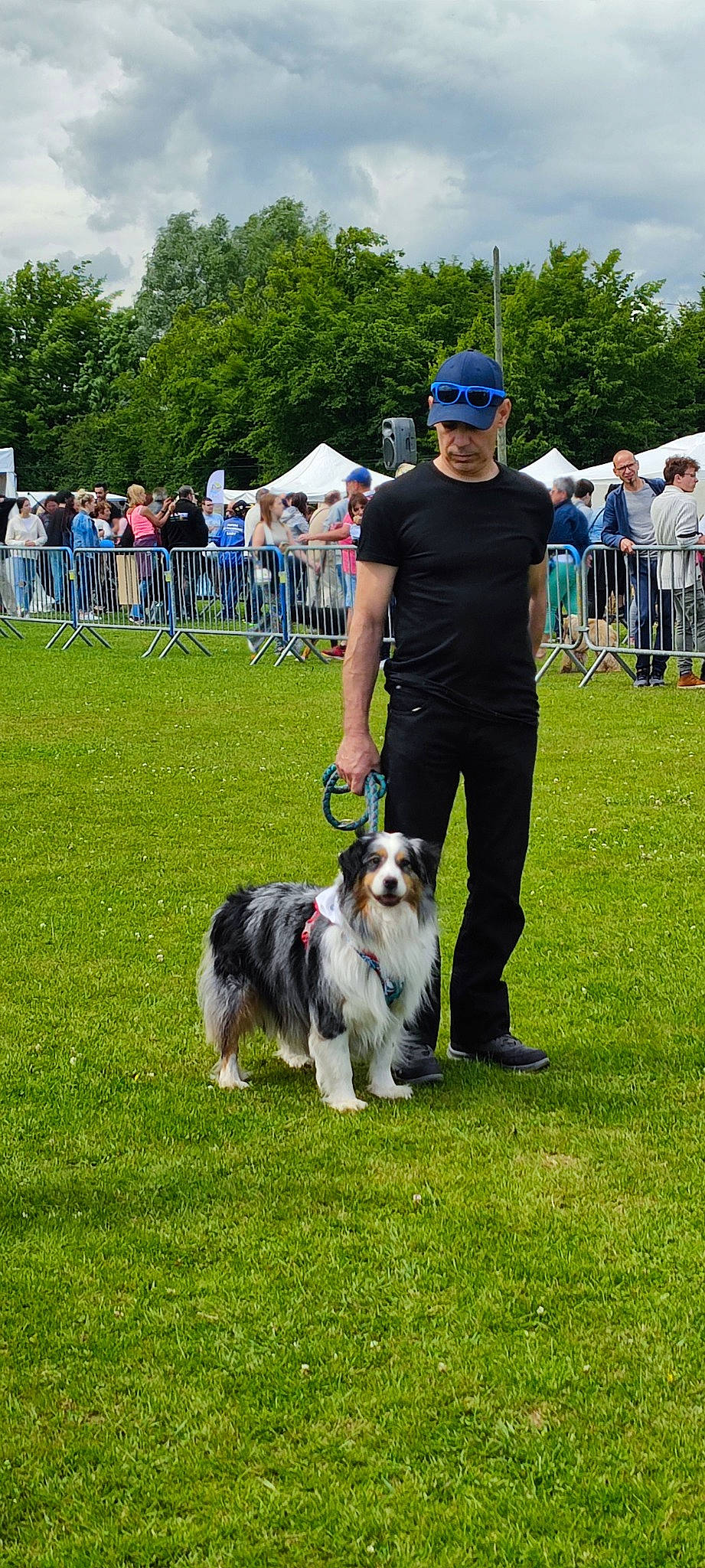 Looping a rejoint le concours — aidez-le/la à gagner de superbes lots ! animal_sports, baseball_cap, carnivore, chair, collie, companion_dog, dog, dog_breed, dog_sports, event, grass, hat, herding_dog, king_charles_spaniel, romanian_mioritic_shepherd_dog, shorts, sporting_group, sunglasses, toy_dog, tree