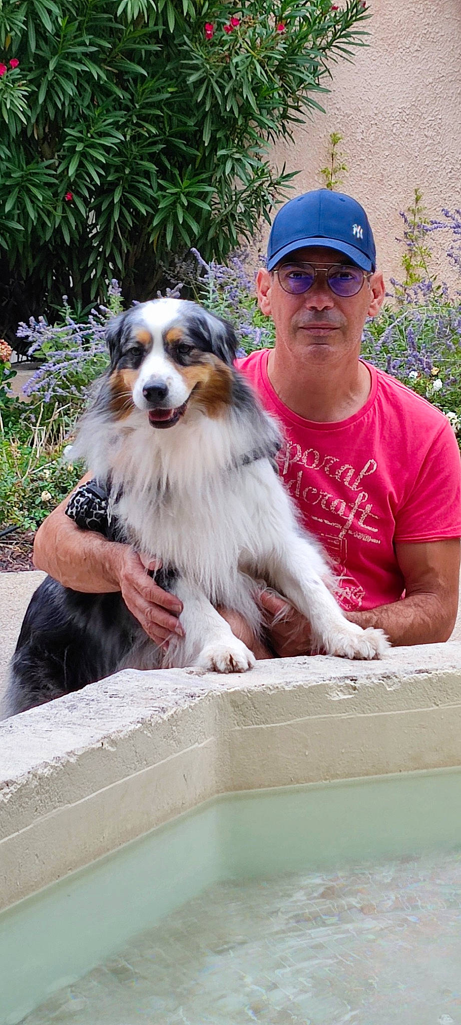 Looping participe au concours pour gagner de l'argent avec cette photo : baseball_cap, cap, carnivore, companion_dog, dog, dog_breed, eyewear, fawn, fur, glasses, goggles, happy, hat, plant, recreation, sporting_group, sunglasses, t_shirt, tree, working_dog