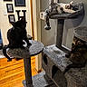 Stormy joined the competition — help win amazing prizes! black_cat, cat_tree, cats, cozy, ears, furry, gray_and_white_cat, home, indoor, living_room, multiple_cats, pet_furniture, portrait, sitting_cat, sleeping_cat, tail, tortoiseshell_cat, wall_art, whiskers, wood_floor