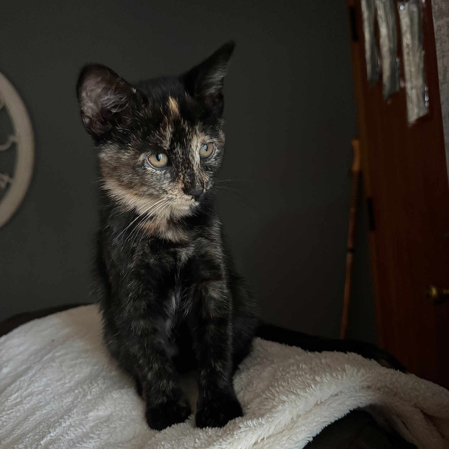 Stormy