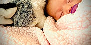 Lilith is registered to the contest to win money with this photo: baby, blanket, child, closeup, comfort, cozy, cute, face, indoors, infant, pacifier, peaceful, pink, plush_toy, rest, sleeping, snuggle, soft, toddler, warm
