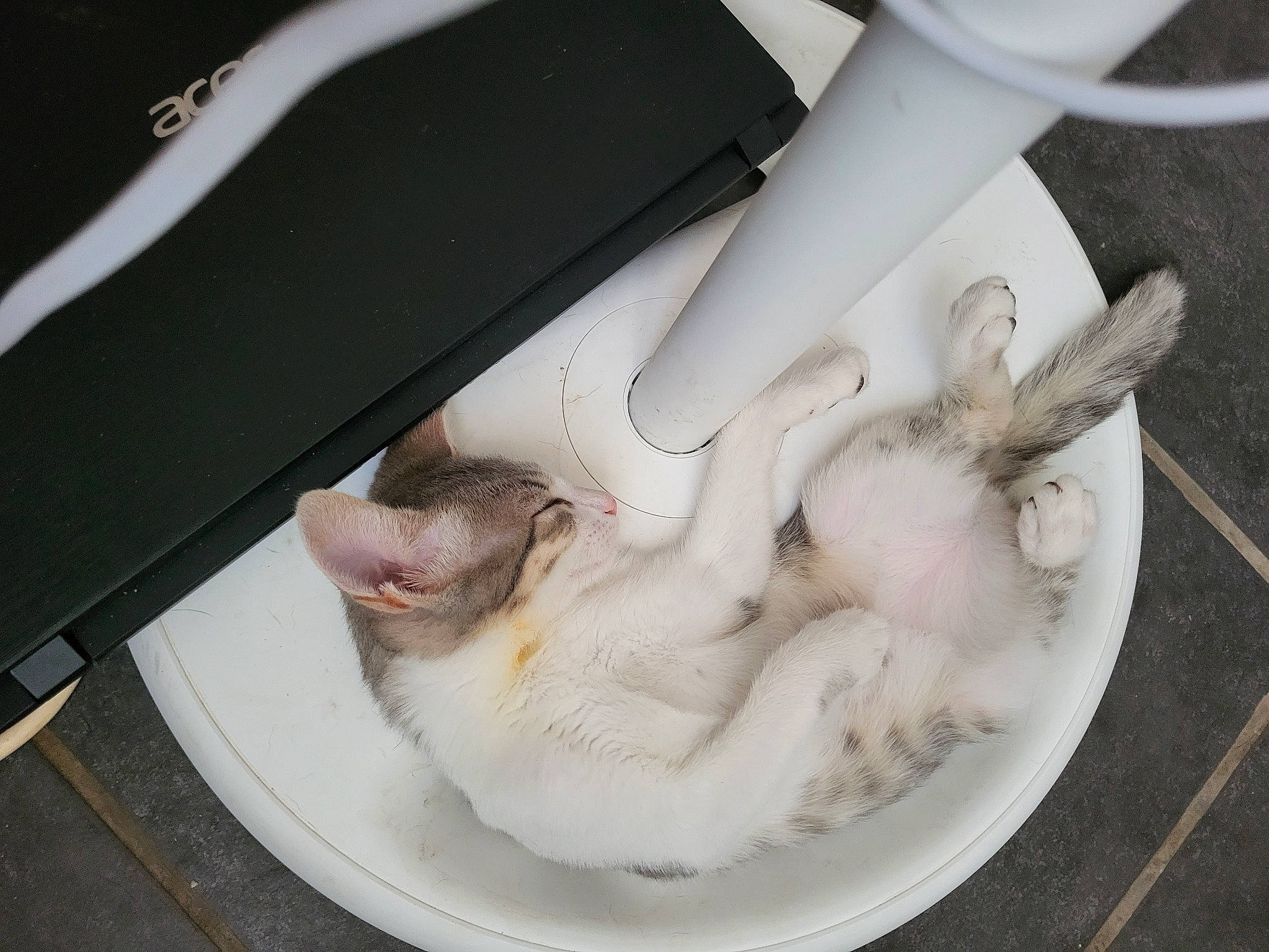 Kaïda participe au concours pour gagner de l'argent avec cette photo : auto_part, fashion_accessory, gesture, ingredient, nail, paw, recipe, wrist