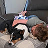child, dogs, dog, sleeping, indoors, couch, blanket, cozy, pets, black_and_white_dog, tricolor_dog, resting, lying_down, home, portrait, relaxing, brown_hair, denim, shirt, companion_animals
