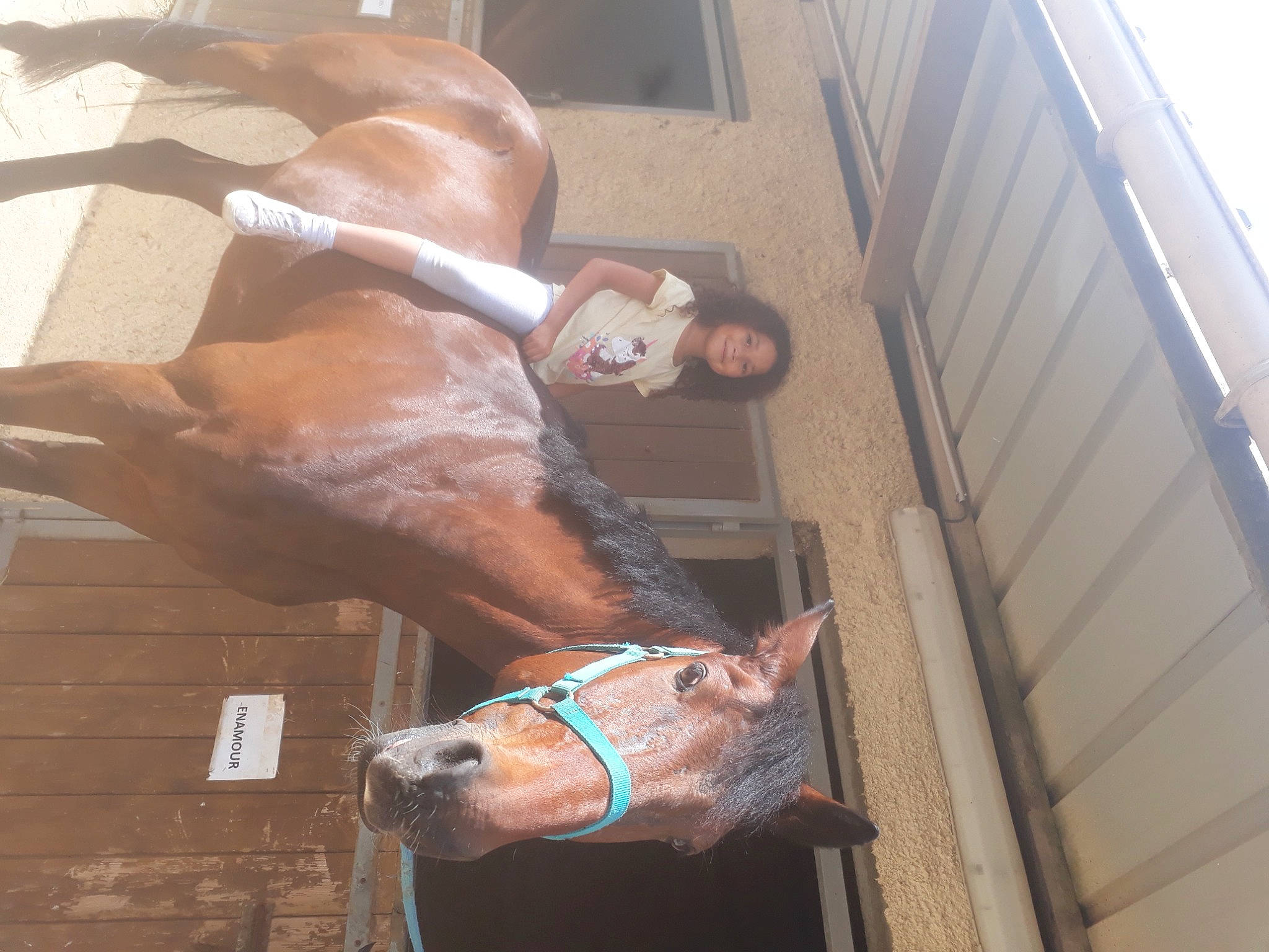 Léa participe au concours pour gagner de l'argent avec cette photo : art, building, canidae, chest, elbow, fawn, flesh, fur, human_leg, joy, leg, liver, meat, muscle, person, snout, sporting_group, thigh, window, wood