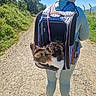 Tagada participe au concours pour gagner de l'argent avec cette photo : person, cat, pet_carrier, backpack, outdoor, nature, path, greenery, sunny, daylight, leisure, walking, activewear, footwear, feline, animal, travel, blue_sky, trees, nature_trail