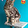 Tigrette