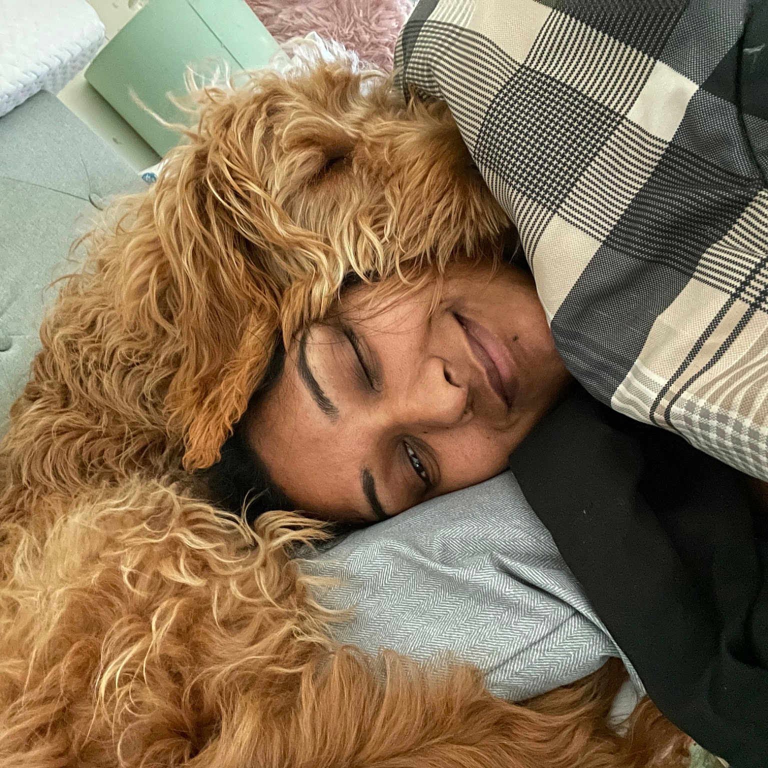 Velvet joined the competition — help win amazing prizes! beard, bedding, blond, brown_hair, comfort, couch, facial_hair, fashion_accessory, flooring, fur, fur_clothing, grass, hair, happy, linens, long_hair, outerwear, pattern, portrait_photography, sitting