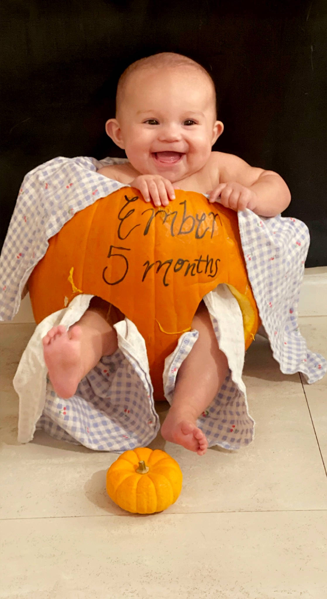 Ember joined the competition — help win amazing prizes! baby, baby_toddler_clothing, calabaza, comfort, cucurbita, facial_expression, gourd, hairstyle, happy, human_body, joy, orange, organ, people, person, pumpkin, sleeve, smile, squash, toddler