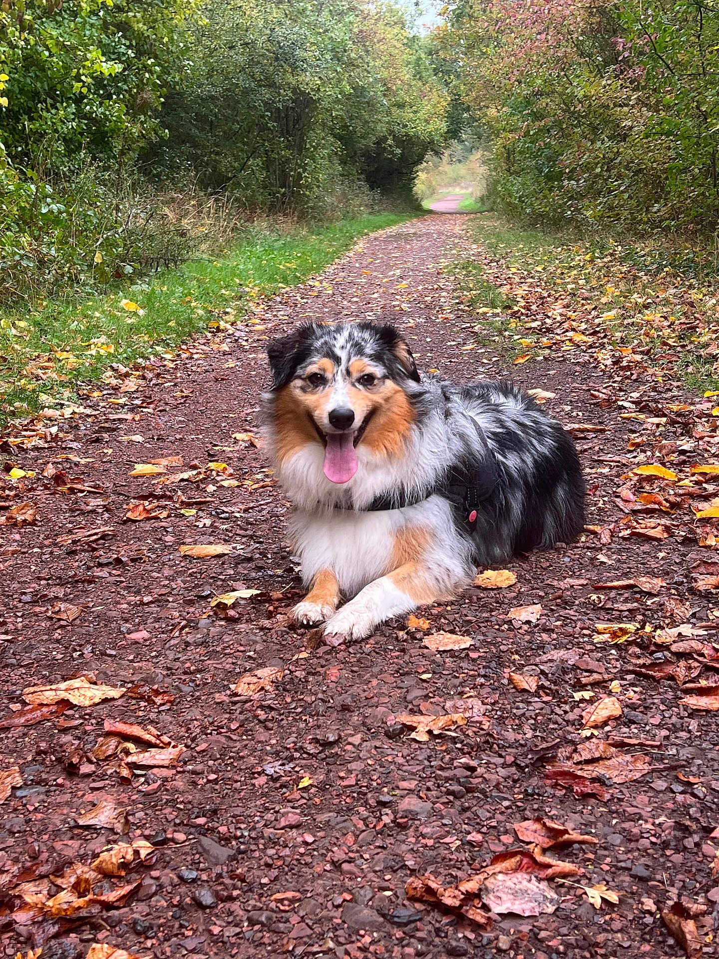 Naya