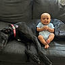 Kruz joined the competition — help win amazing prizes! baby, child, dog, black_dog, couch, sofa, indoor, sitting, smiling, infant, onesie, pet, animal, portrait, living_room, furniture, happy, companionship, large_dog, family