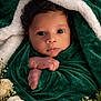 baby, blanket, closeup, cozy, cute, expression, face, flowers, foliage, green_blanket, hands, infant, natural_light, newborn, peaceful, portrait, roses, soft_texture, white_fluffy_lining, wrapped