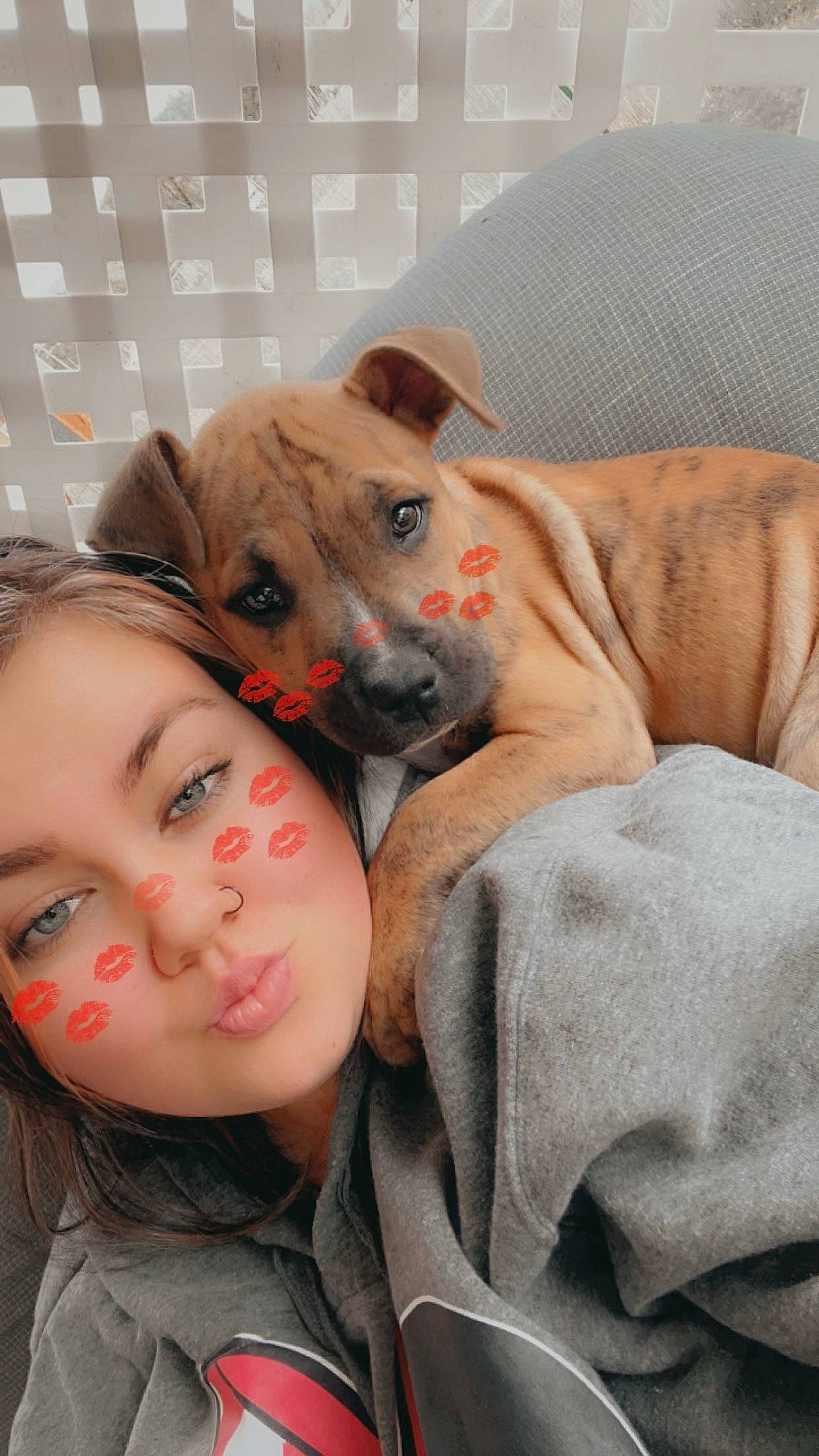 Jack is registered to the contest to win money with this photo: canidae, carnivore, child, comfort, companion_dog, dog, dog_breed, fawn, fur, guard_dog, happy, non_sporting_group, paw, puppy_love, selfie, sitting, sporting_group, toddler, toy_dog, whiskers