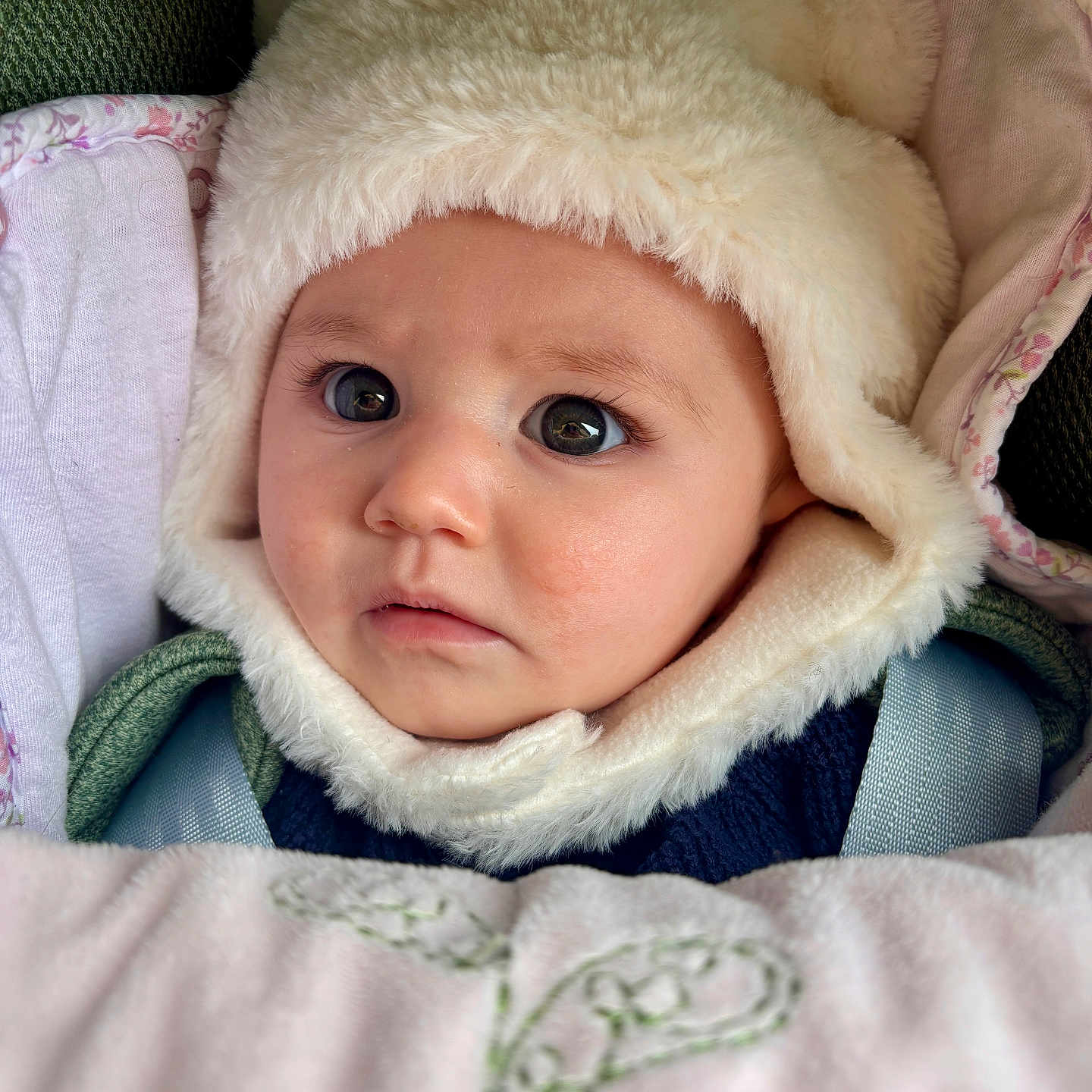 Matilda participe au concours pour gagner de l'argent avec cette photo : baby, blanket, car_seat, child, closeup, cozy, cute, expression, face, fluffy, hat, headwear, indoor, infant, person, portrait, seatbelt, soft_texture, warm_clothing, young_child