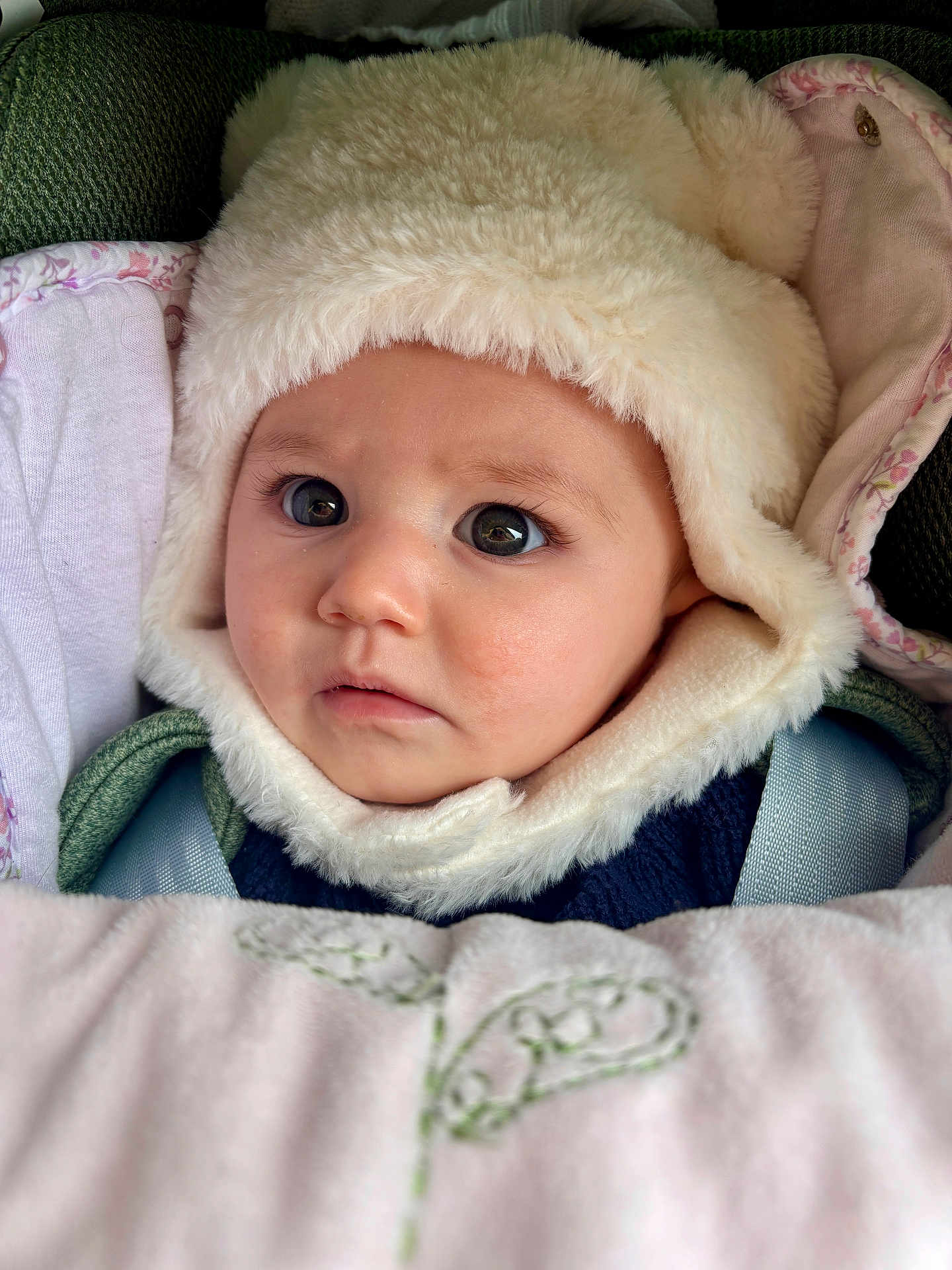 Matilda participe au concours pour gagner de l'argent avec cette photo : baby, child, face, hat, fluffy, blanket, car_seat, closeup, expression, cute, warm_clothing, indoor, portrait, young_child, headwear, cozy, infant, person, seatbelt, soft_texture
