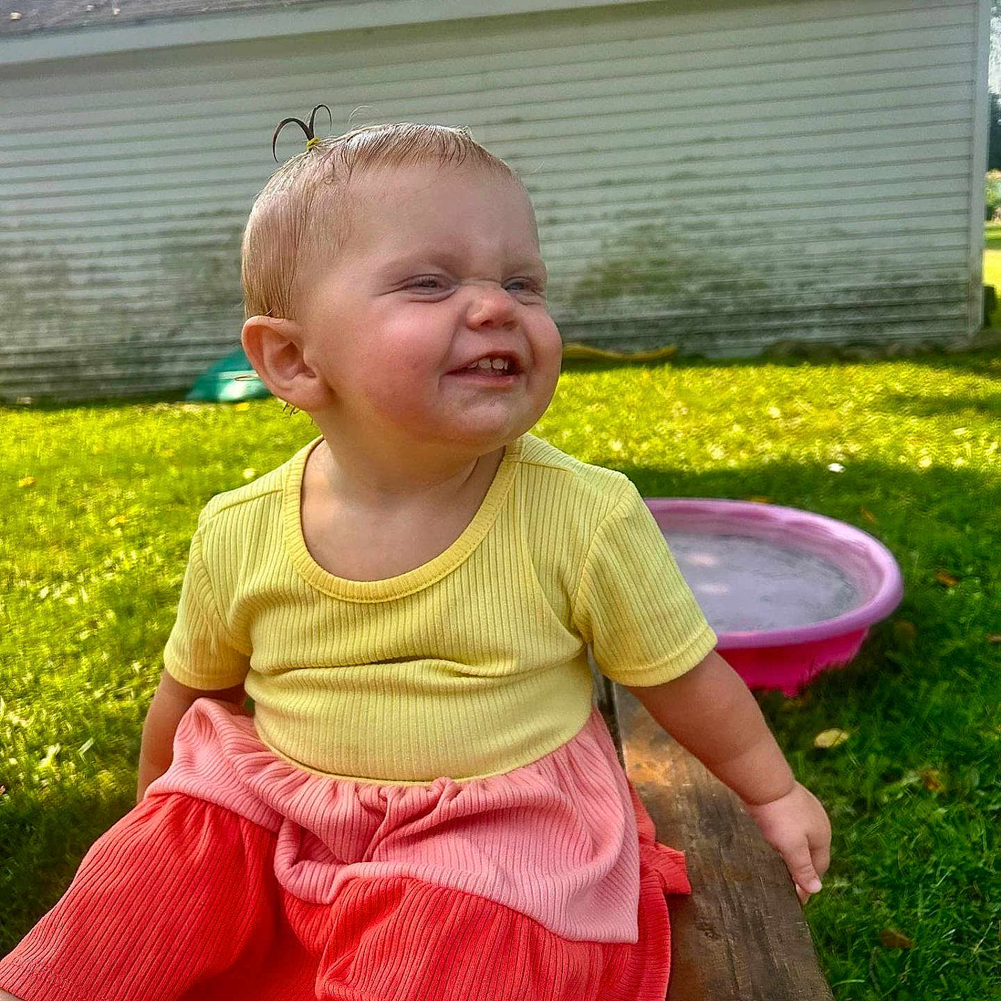 Gabriella Trout is registered to the contest to win money with this photo: bench, child, coral_shorts, cute, daytime, expression, grass, grass_lawn, happy, outdoor, person, pink_pool, playful, shed, smiling, summer, sunlight, toddler, wood, yellow_shirt
