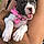 Roxie