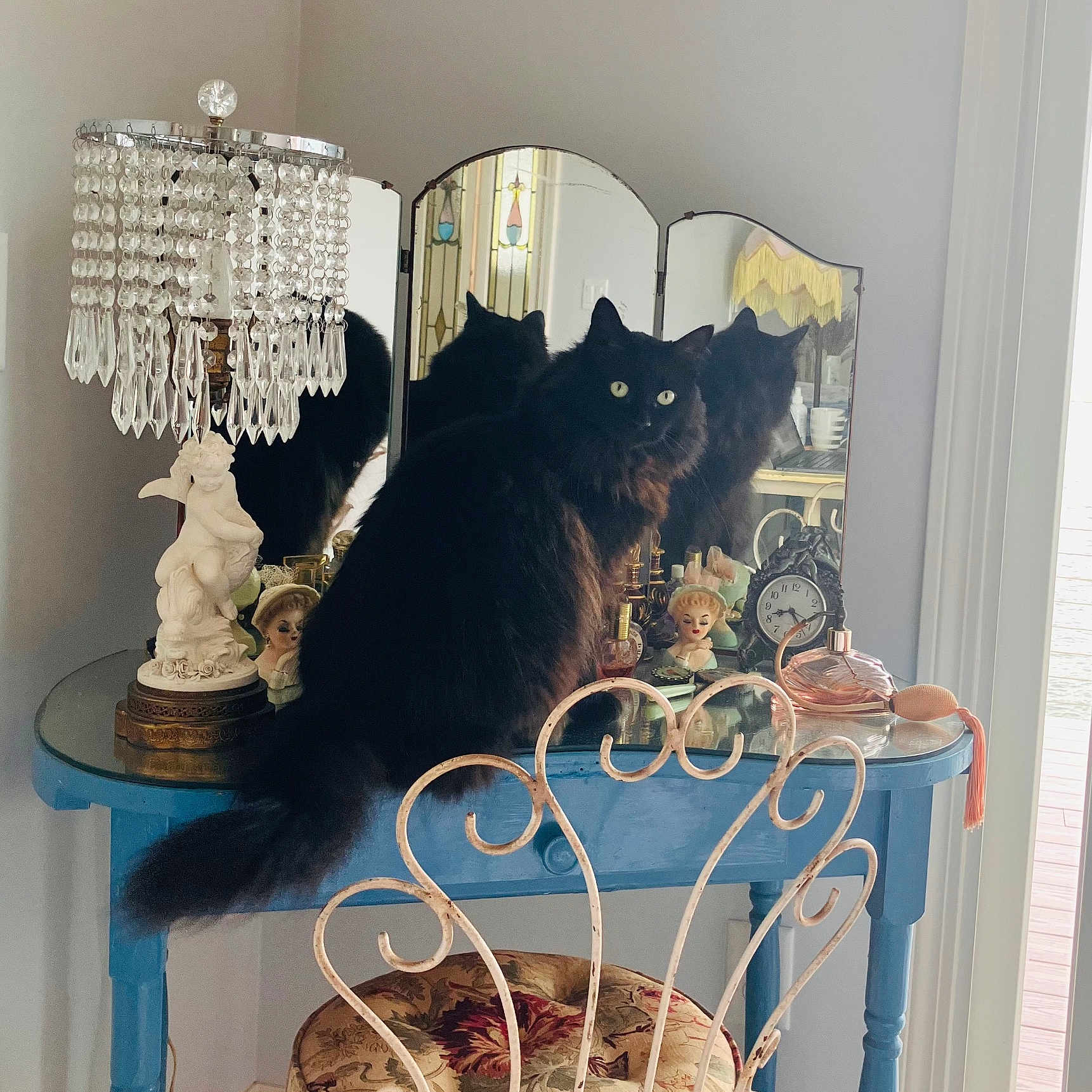 Witch joined the competition — help win amazing prizes! cat, black_cat, vanity_table, mirror, lamp, crystal_lamp, decorative_doll, clock, perfume_bottles, vintage, chair, floral_cushion, reflection, indoor, furniture, curious, yellow_eyes, cozy, decor, animal