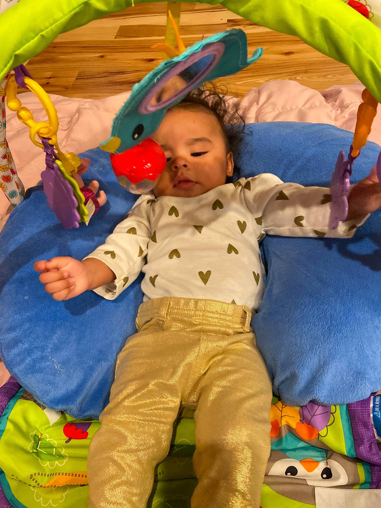 Malaiya joined the competition — help win amazing prizes! baby, baby_products, baby_toys, child, person, play, playmat, product, toddler, toy