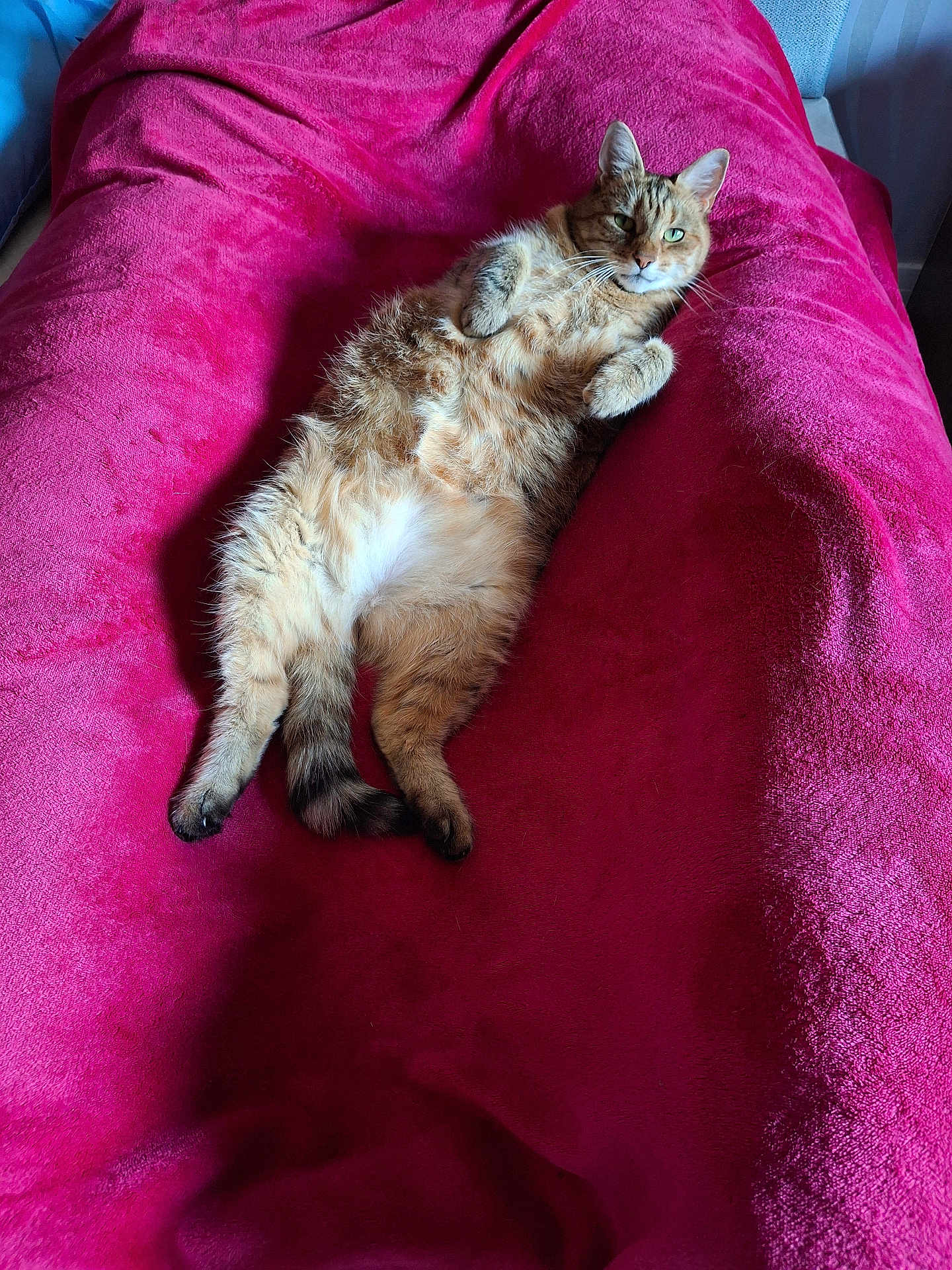 Mia