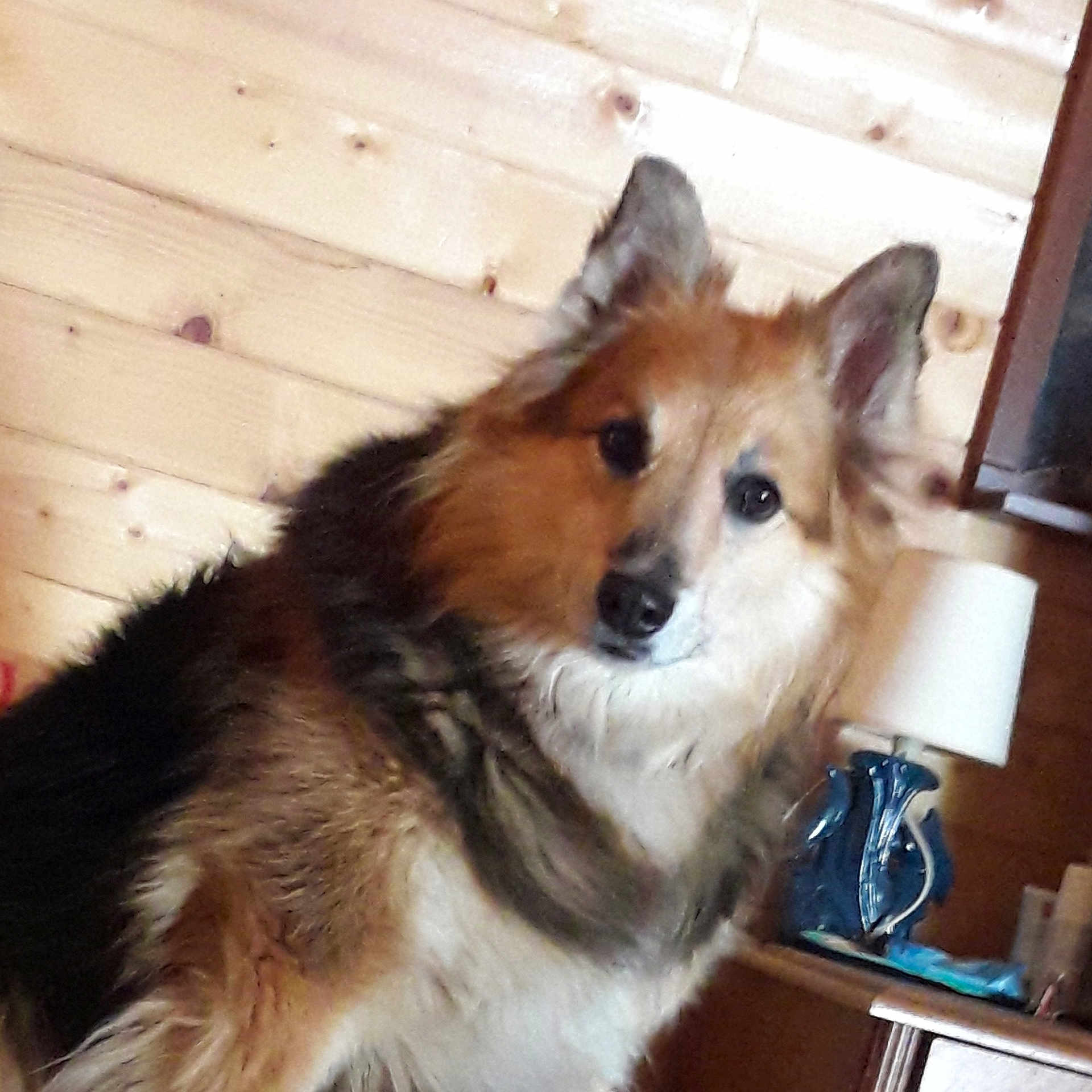 Ulka