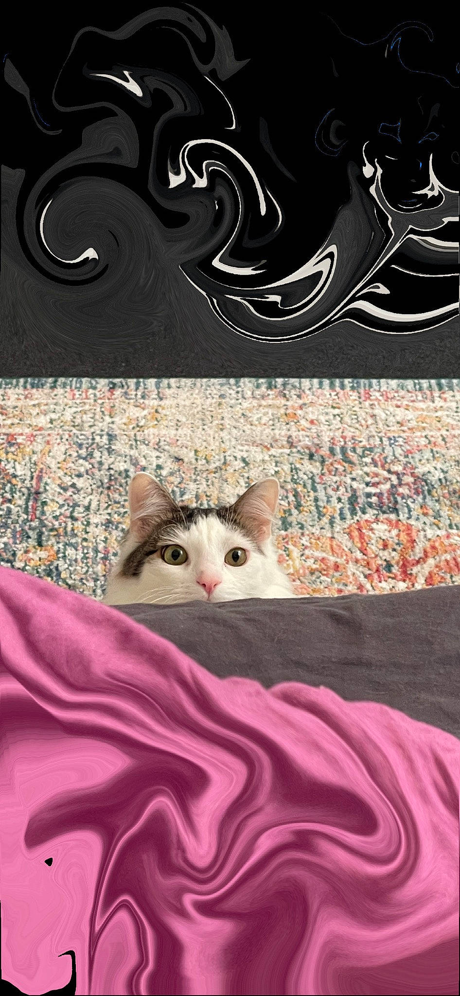 Mars joined the competition — help win amazing prizes! art, bedding, carnivore, cat, domestic_short_haired_cat, felidae, flooring, font, fur, linens, pattern, photograph, rectangle, room, small_to_medium_sized_cats, tail, textile, whiskers, white, wood