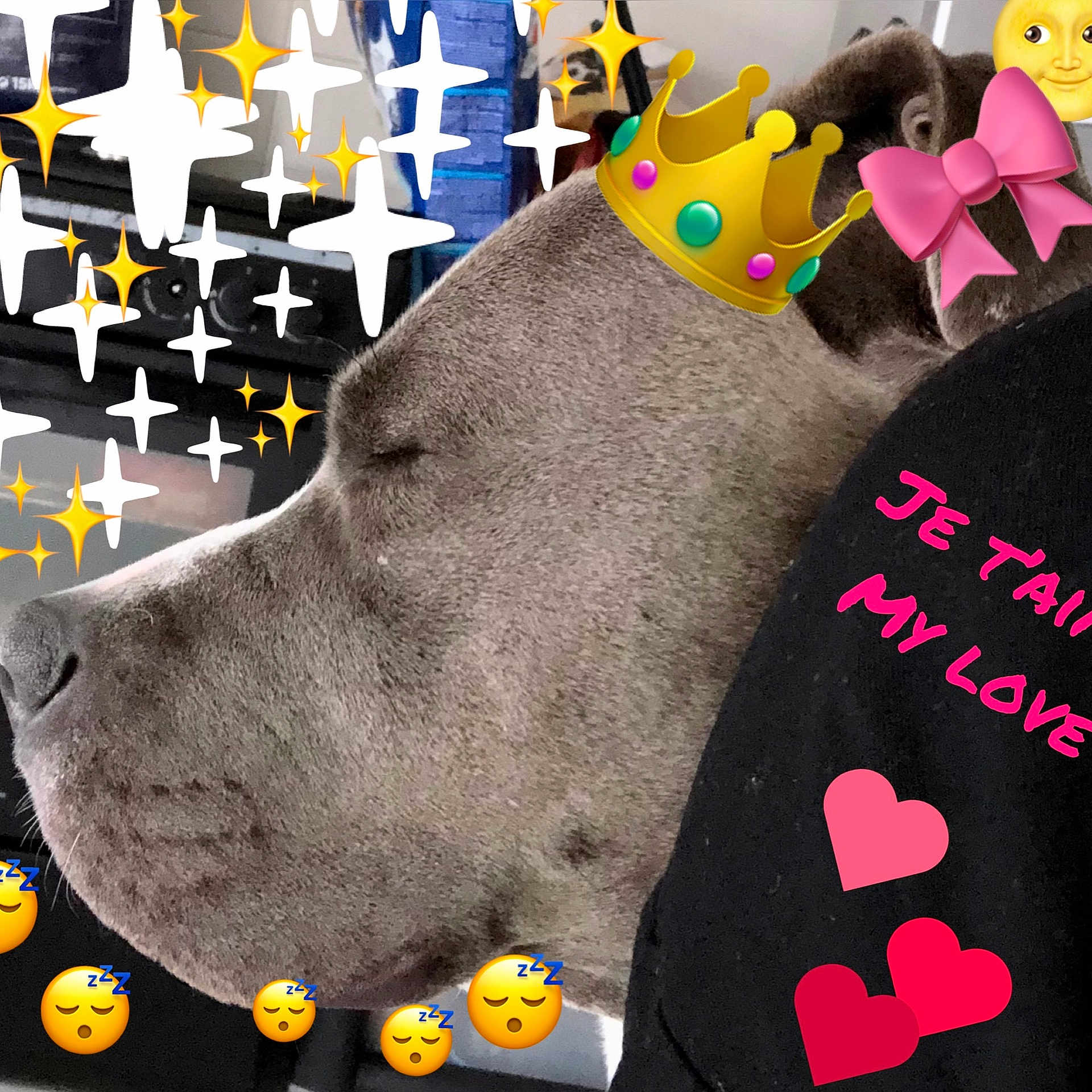 The Queen Chanel
