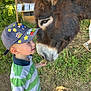 Valentin participe au concours pour gagner de l'argent avec cette photo : child, donkey, animal, feeding, grass, cap, super_mario, outdoor, greenery, nature, curious, young, petting_zoo, summer, boy, casual_clothing, interaction, daylight, fence
