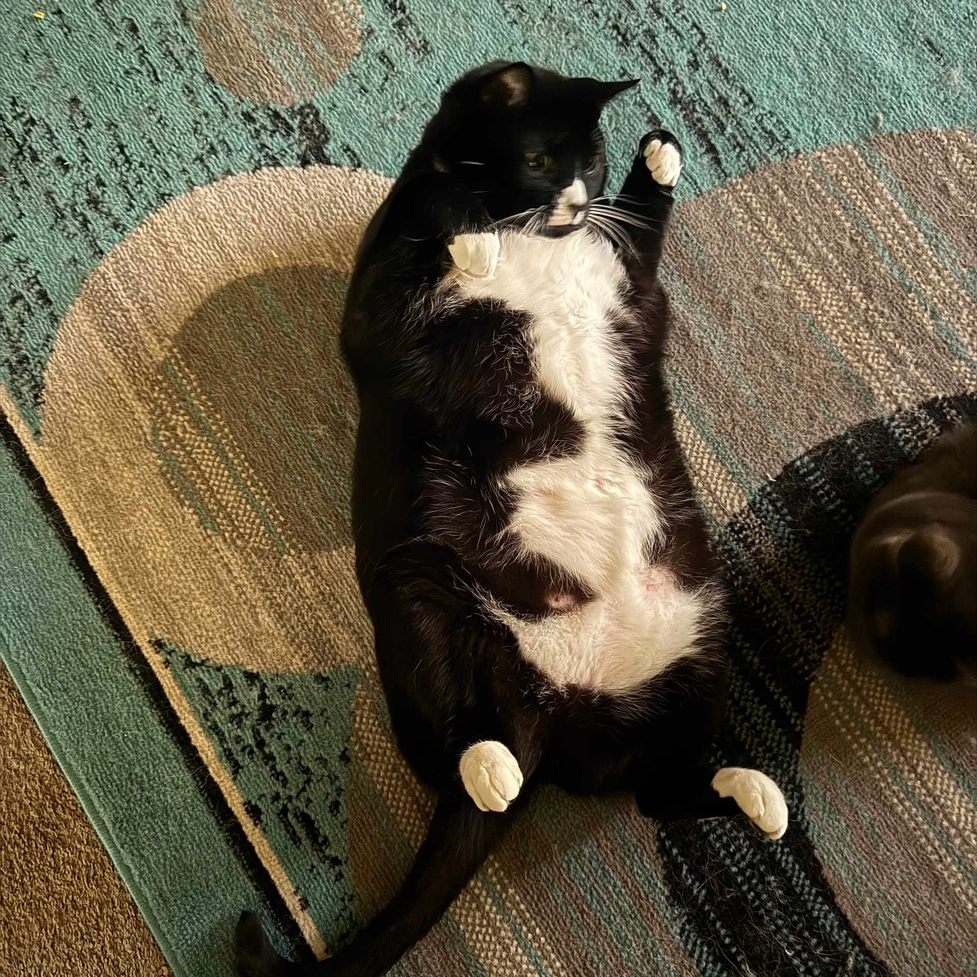 Benson