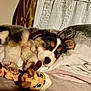 Zhenah a rejoint le concours — aidez-le/la à gagner de superbes lots ! puppy, dog, bed, plush_toy, giraffe, sleepy, indoor, curtains, pillow, blanket, fur, pet, cute, animal, resting, cozy, soft_light, brown, white, black