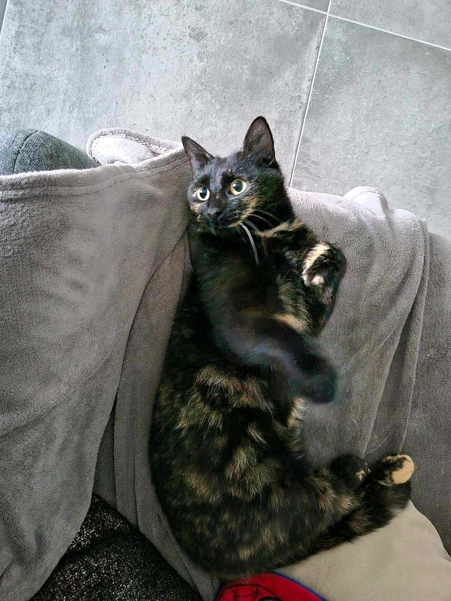Mimi