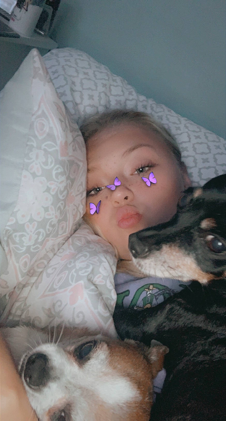 Dixie joined the competition — help win amazing prizes! bedtime, canidae, carnivore, comfort, companion_dog, dog, dog_breed, eyelash, fawn, human, iris, linens, love, mammal, mouth, nap, sleep, snout, sporting_group, working_animal