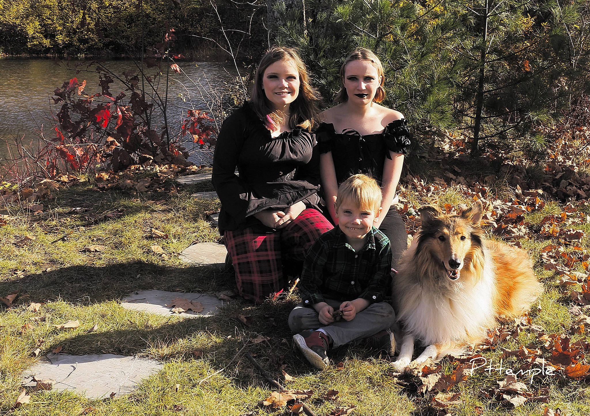 David is registered to the contest to win money with this photo: carnivore, collie, companion_dog, dog, dog_breed, event, fawn, formal_wear, fur, grass, happy, joy, people_in_nature, person, plant, sitting, smile, soil, spitz, tree