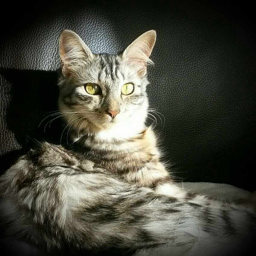 Ruby