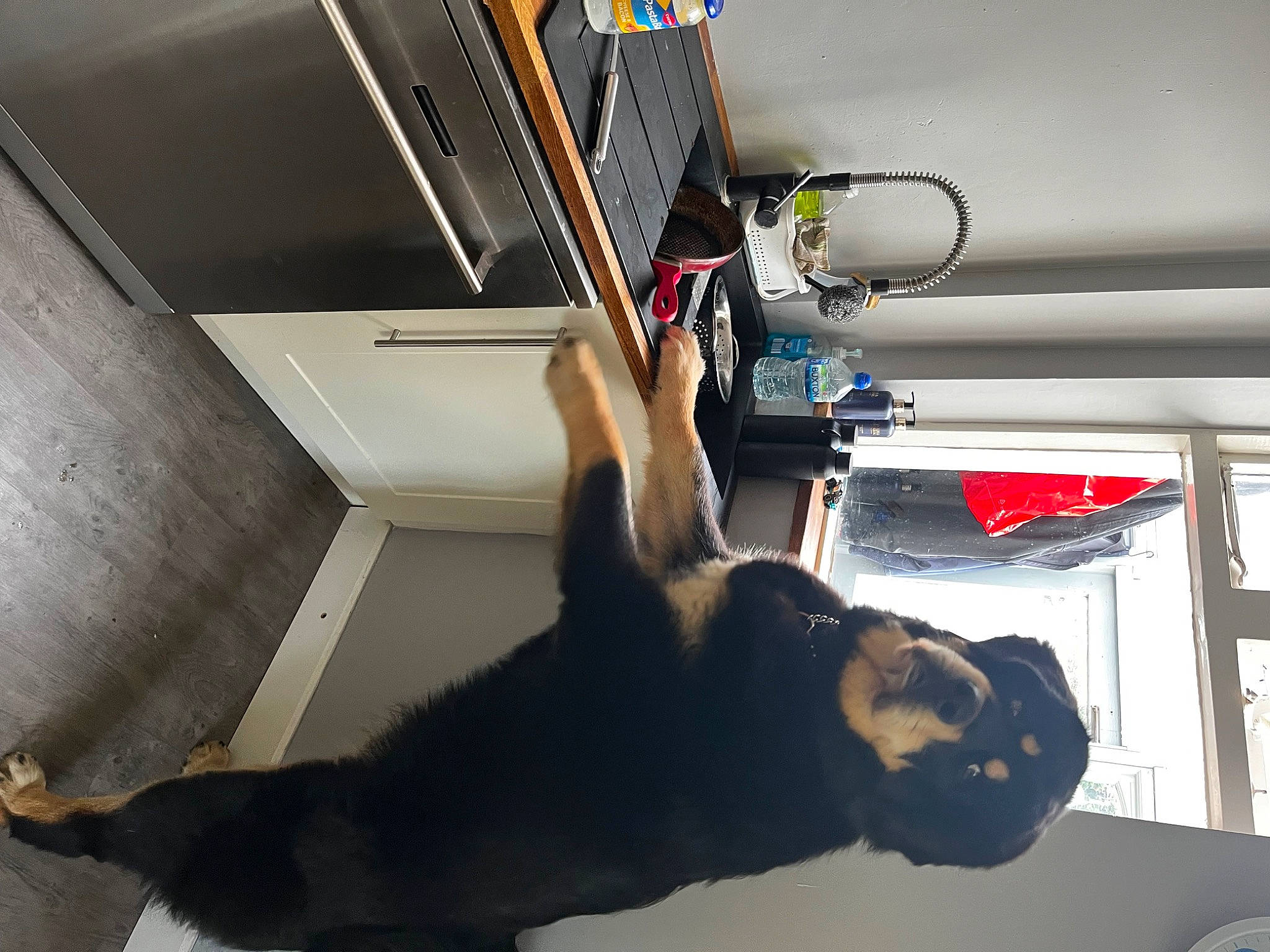 Kipo joined the competition — help win amazing prizes! auto_part, automotive_design, automotive_exterior, automotive_window_part, cable, ceiling, elbow, electrical_wiring, family_car, flooring, fur, hood, human_leg, machine, room, tail, vehicle, vehicle_door, windshield, wire