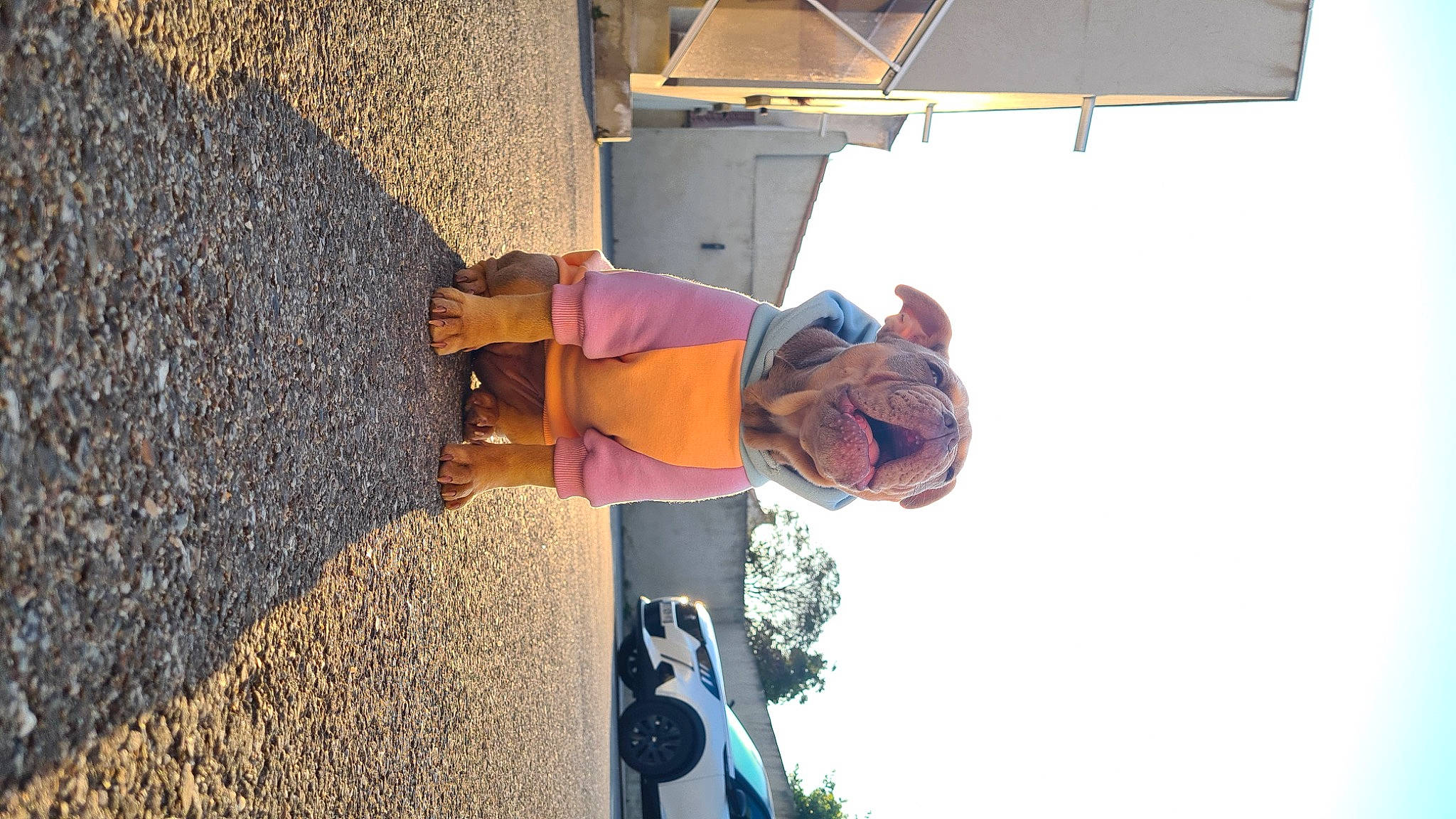 Summer participe au concours pour gagner de l'argent avec cette photo : asphalt, car, concrete, eyewear, fun, hat, landscape, leisure, light, road_surface, shadow, sky, tints_and_shades, tree, vehicle_door, wood