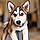 Balto