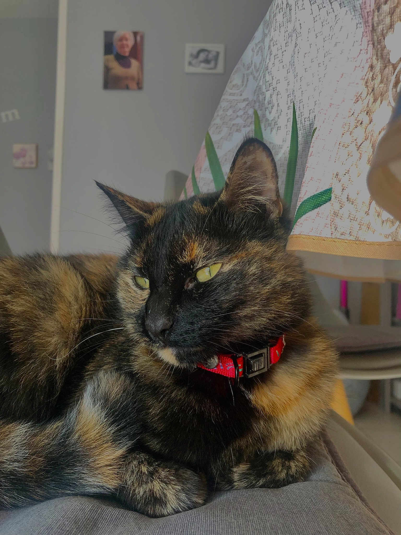 Calista