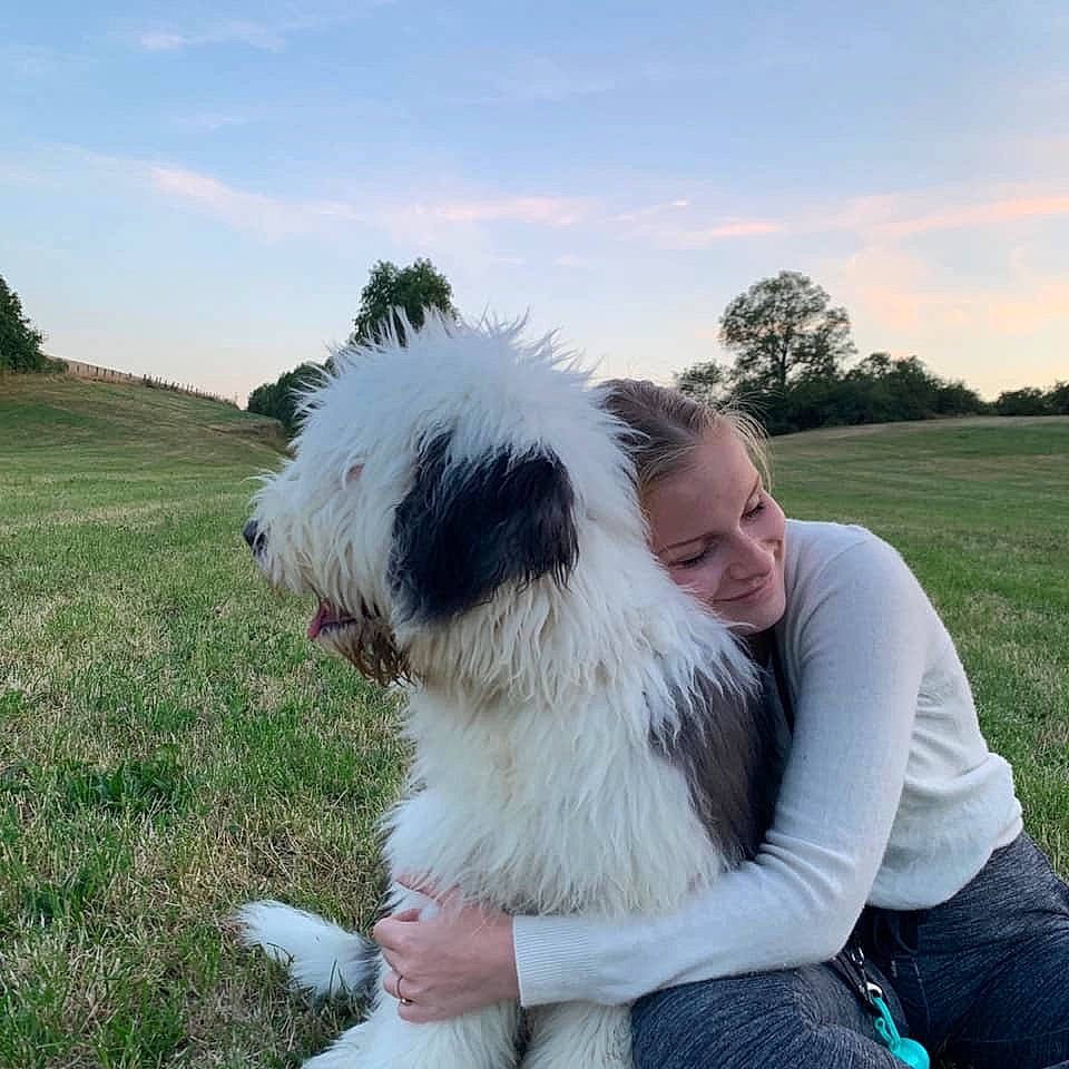 Pollux participe au concours pour gagner de l'argent avec cette photo : canidae, carnivore, companion_dog, dog, dog_breed, herding_dog, mammal, old_english_sheepdog, petit_basset_griffon_vendeen, polish_lowland_sheepdog, rare_breed_dog, romanian_mioritic_shepherd_dog, schapendoes, south_russian_ovcharka, tibetan_terrier, vertebrate
