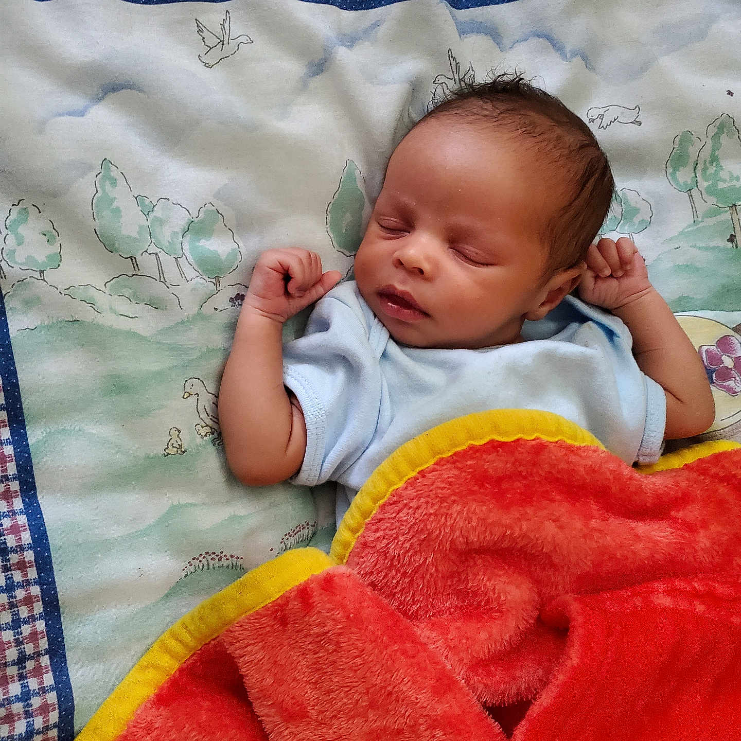 Michael is registered to the contest to win money with this photo: baby, bed, blanket, bodypart, crib, face, finger, furniture, hand, head, homedecor, infantbed, linen, newborn, person, photography, portrait, quilt, sleeping, towel