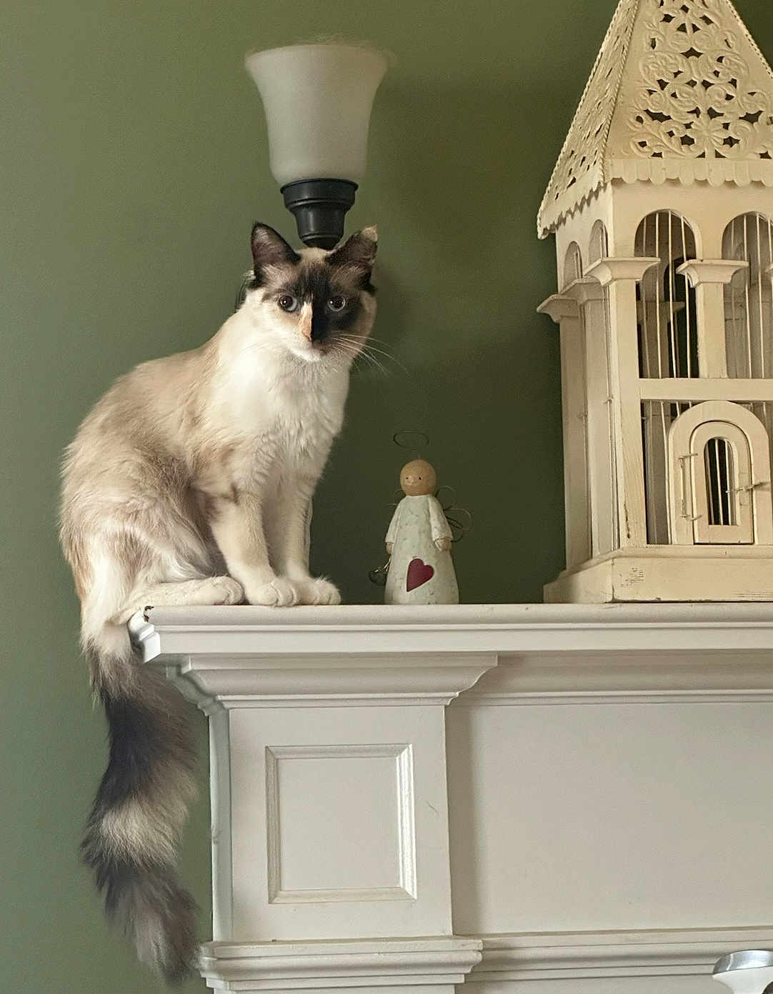 Tula