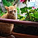 Samy